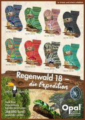 Opal Regenwald 18  "Die Expedition" 4-fach