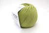 019 Pistachio
