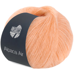 03 Apricot